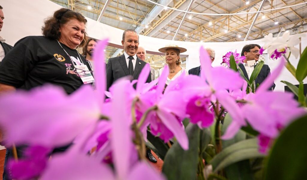 Festa das Flores de Joinville reúne flores, gastronomia e atrações culturais
