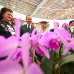 Festa das Flores de Joinville reúne flores, gastronomia e atrações culturais