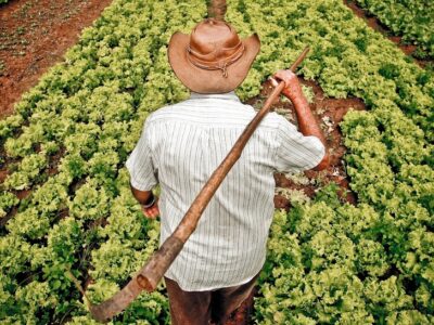 Crédito Fundiário em destaque em SC